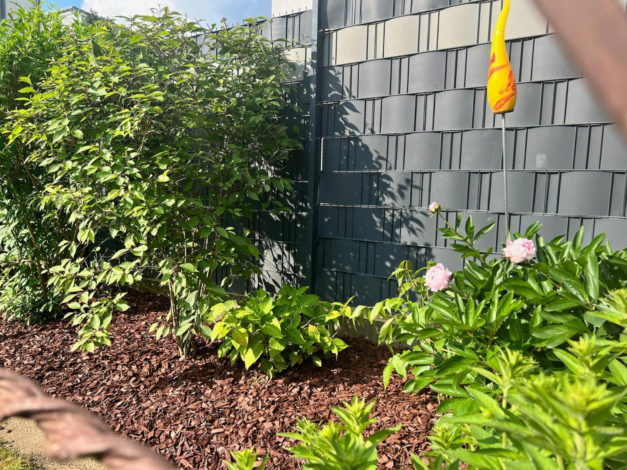 Barrierefreies Ferienhaus Mit Garten Bei Koeln ヒュルト エクステリア 写真
